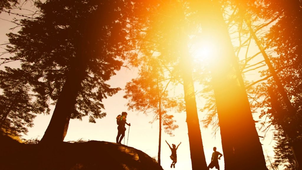 silhouette photo of three person near tall trees